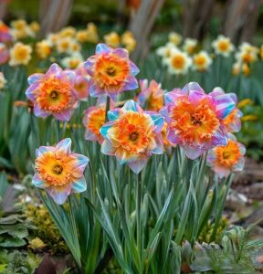 Нарцисс Айвери Дон купить по цене от 3000р. в интернет-магазине «Посадика» с доставкой почтой в в Мирныйе и по всей России – [изображение №1].