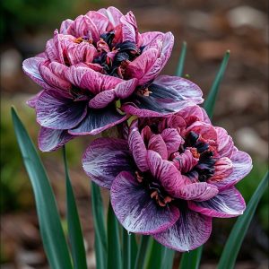 Нарцисс Моргатн Мотив купить по цене от 2000р. в интернет-магазине «Посадика» с доставкой почтой в в Мирныйе и по всей России – [изображение №1].