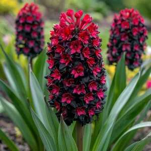 Гиацинт Джем Стоун купить по цене от 2099р. в интернет-магазине «Посадика» с доставкой почтой в в Мирныйе и по всей России – [изображение №1].