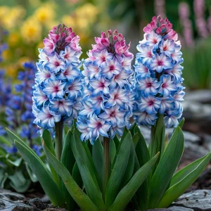 Гиацинт Пинк Мари купить по цене от 2099р. в интернет-магазине «Посадика» с доставкой почтой в в Мирныйе и по всей России – [изображение №1].